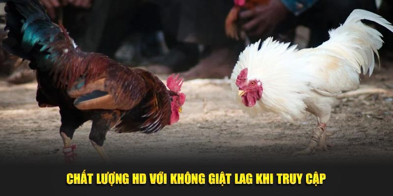 Chất lượng HD với không giật lag khi truy cập