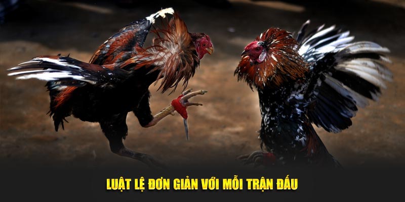 Luật lệ đơn giản với mỗi trận đấu