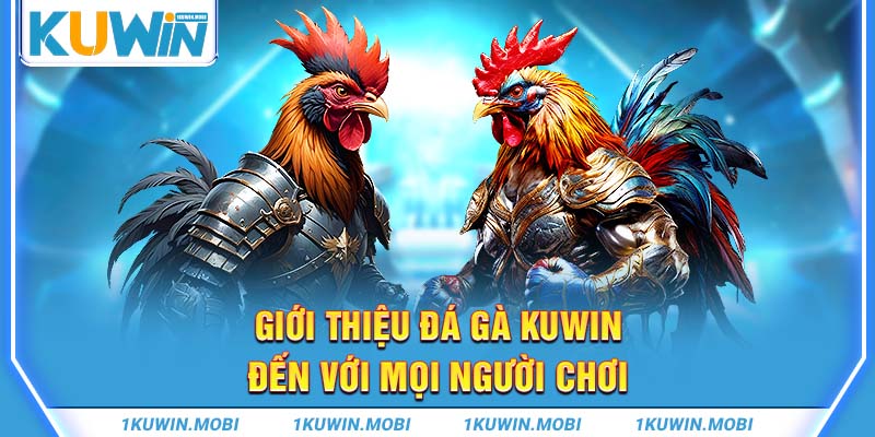 Giới thiệu đá gà KUWIN đến với mọi người chơi