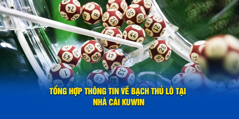 Tổng hợp thông tin về phương pháp đặt cược thú vị tại Kuwin